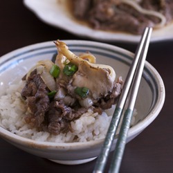 Bulgogi