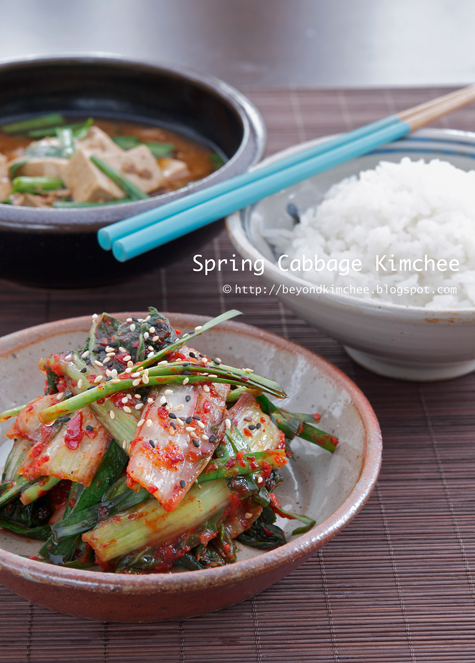 Spring Cabbage Kimchee