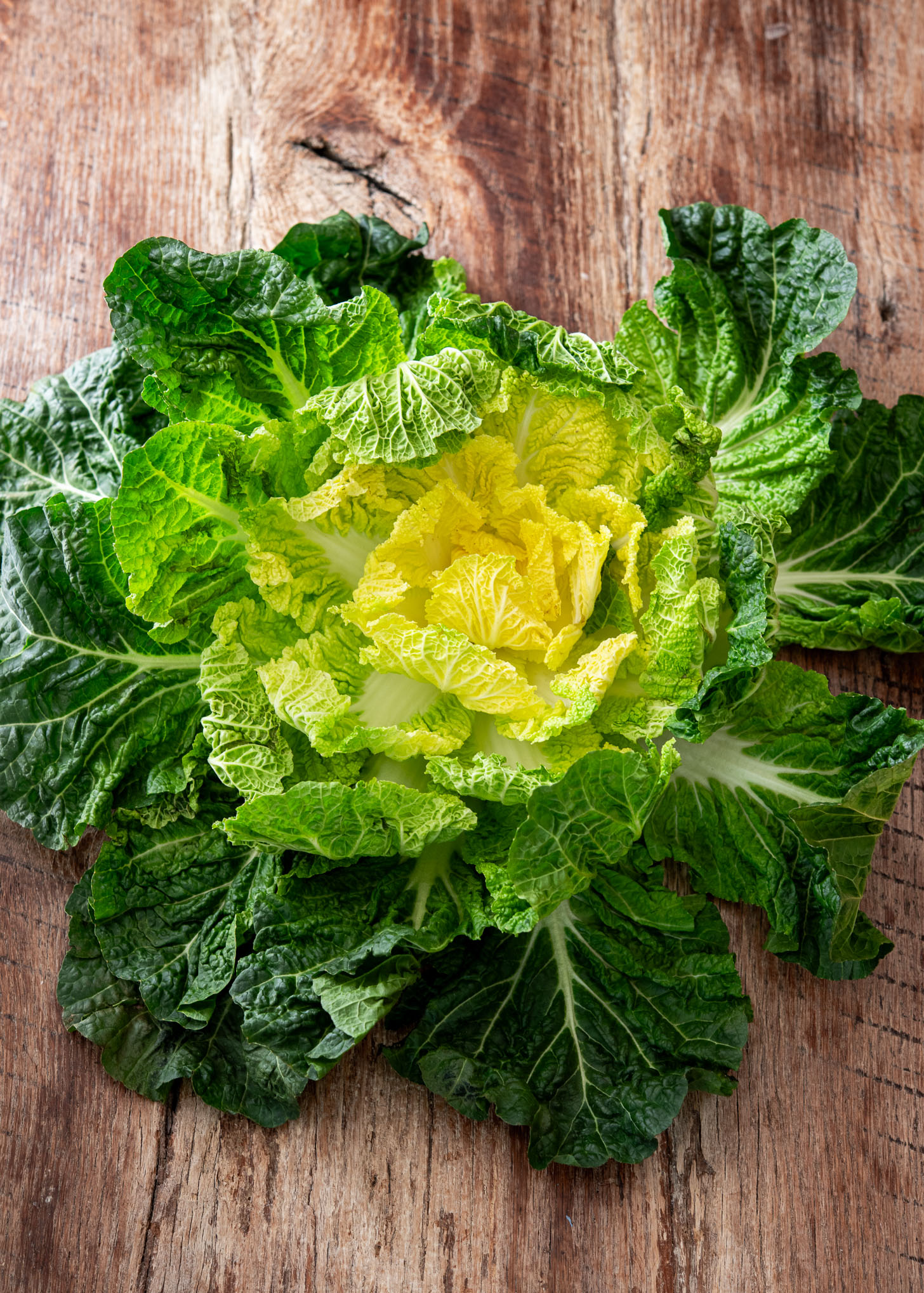 Top-down view of a whole Bomdong cabbage (Korean spring cabbage) on a wooden surface