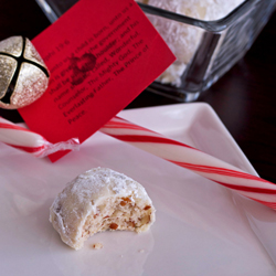 pecan balls cookies for Christams