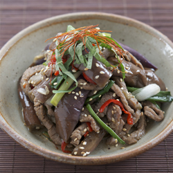 Beef and eggplant are garnished with green onion