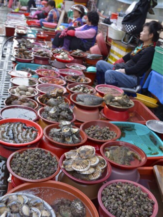 fish market in Tong Young, Korea