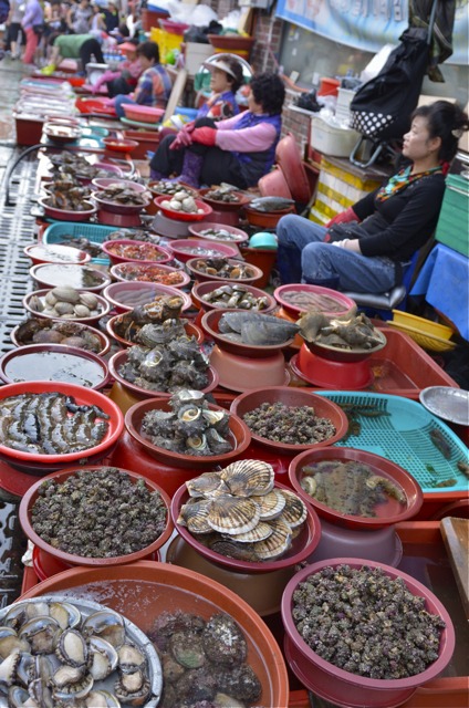 fish market in Tong Young, Korea