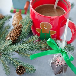 Hot chocolate on a stick