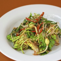 Korean spring cabbage salad