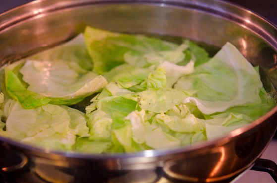 Boil green cabbage leaves until soft