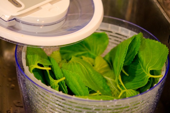 periila leaves with salad spinner