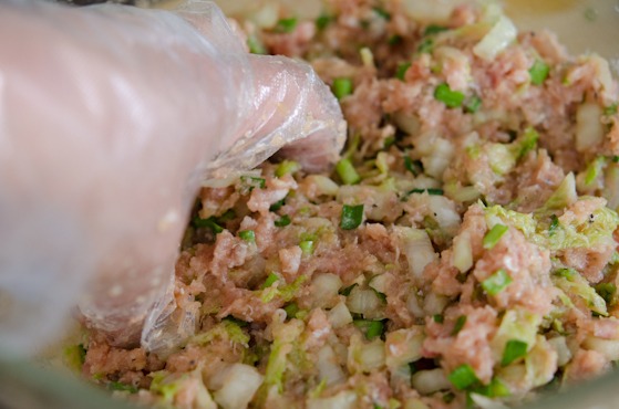 Pork and cabbage dumpling filling is mixed by hand