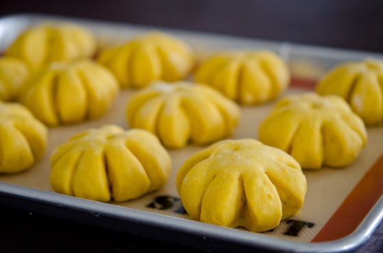 Dutch Oven Pumpkin Dinner Rolls - In the Kitchen with Honeyville