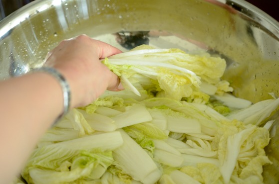 Toss cabbage with salt brine in a large bowl.