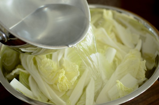 Pour hot salt brine into cabbage in a large bowl.