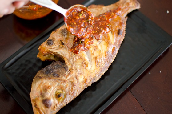 Spread Korean red chili sauce over the broiled fish