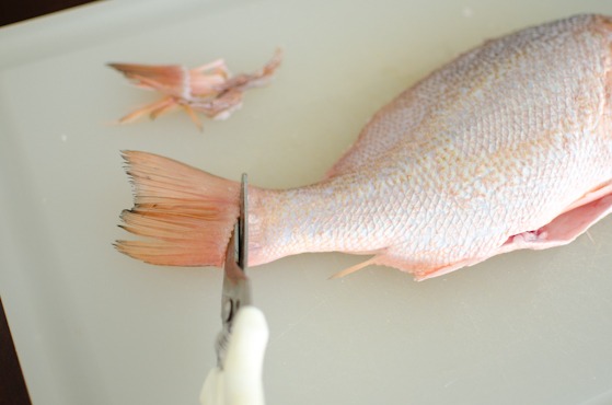 Cut off the tail from a red snapper.