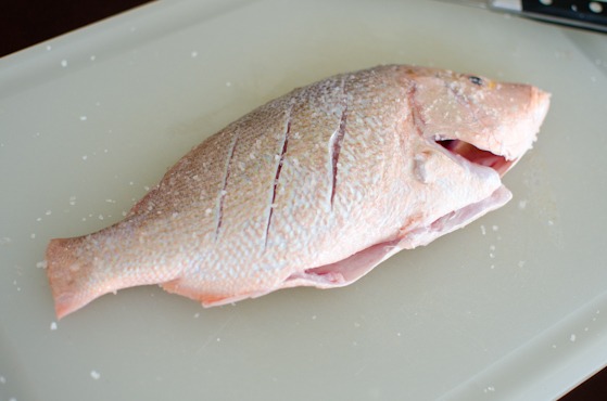 Red Snapper-9