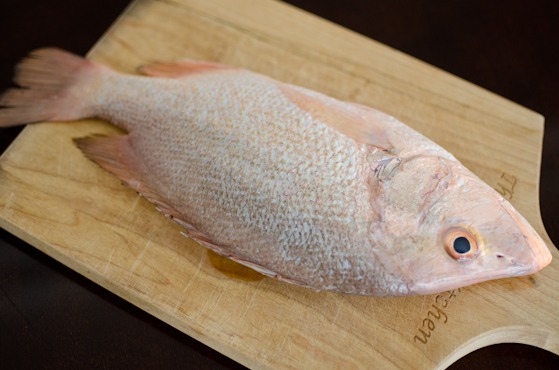 A fresh red snapper is placed.