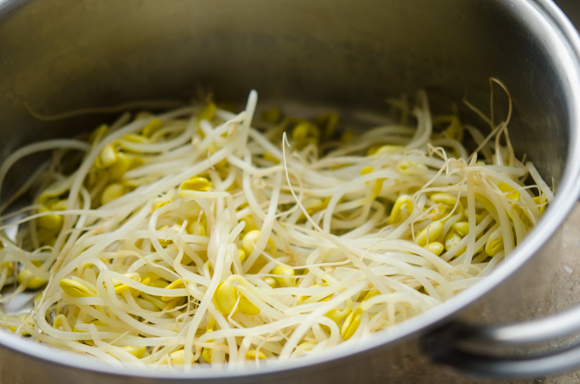 Cooked soybean sprouts are resting in a pot.