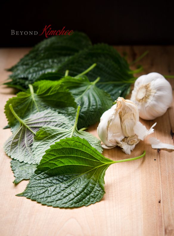 Perilla Leaves are fragrant herb and commonly used in Korean cuisine