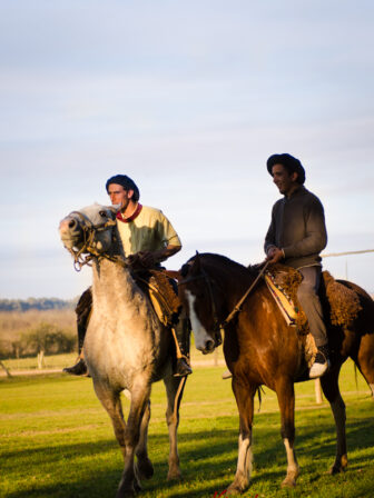 Argentina Gaucho