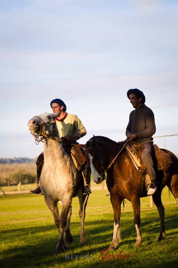 Argentina Gaucho