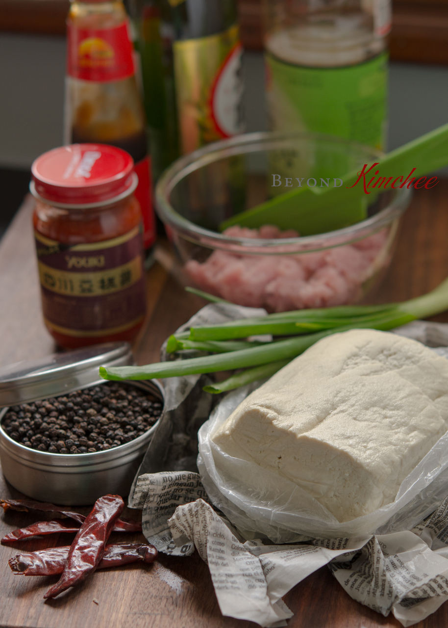 Soft tofu block, peppercorn, dried chili, ground porkm doubanjiang for making Mapo tofu