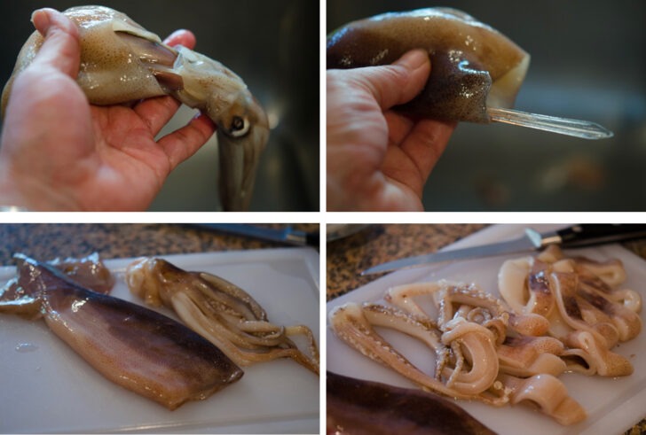 How to clean a fresh squid.