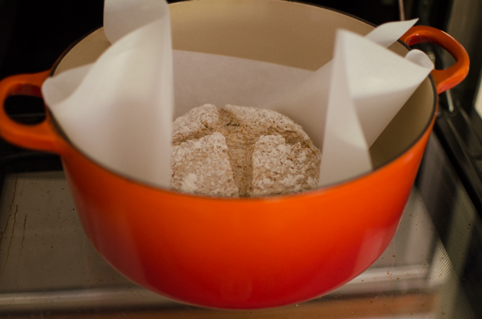 Put the bran bread dough on the parchment paper into a preheated dutch oven.