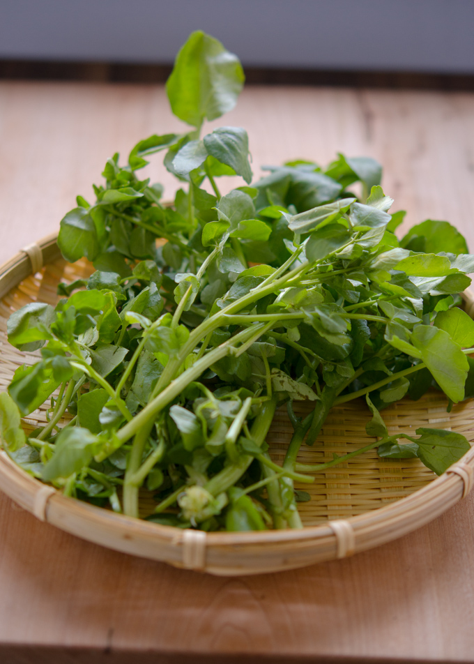 A bunch of watercress is placed in a basket