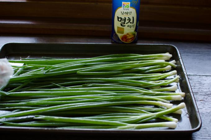Cleaned green onions are tossed with Korean anchovy sauce in a baking sheet.