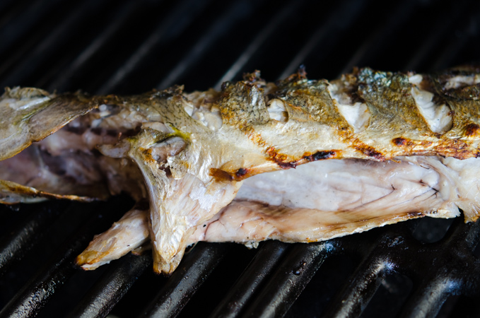 Grilled fish.