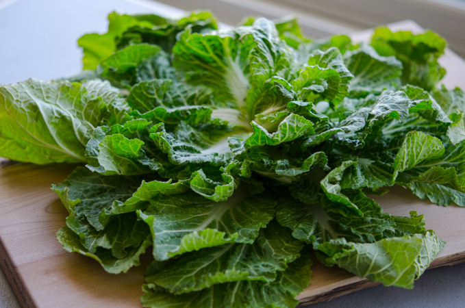 Korean young spring cabbage called bomdong.