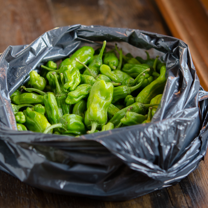 green shishito peppers are kept in a black plastic bag.