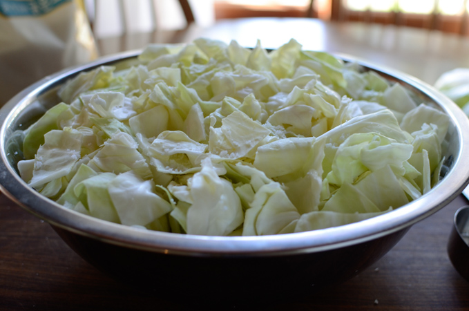 Green cabbage pieces are sprinkled with salt in a bowl.