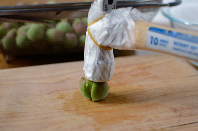 A hammer wrapped with plastic is smacking a green plum to crack it.