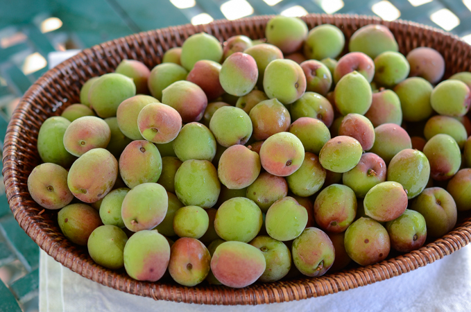 Fresh green plums are put in the basket