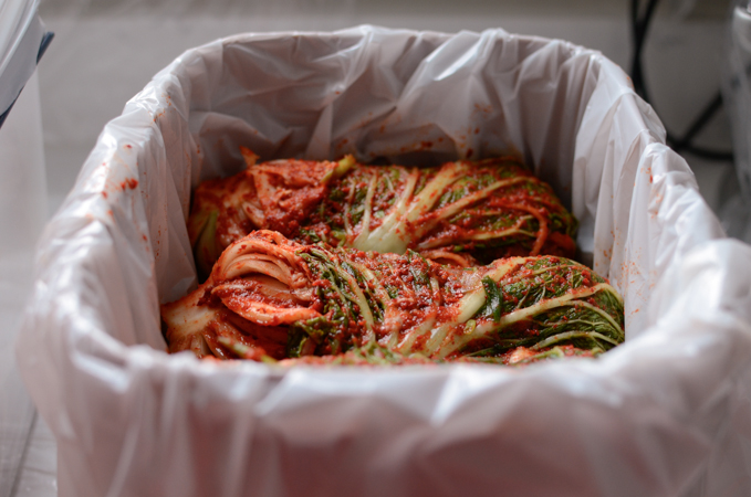 Whole cabbage kimhi are stacked together in a kimchi container lined with plastic.