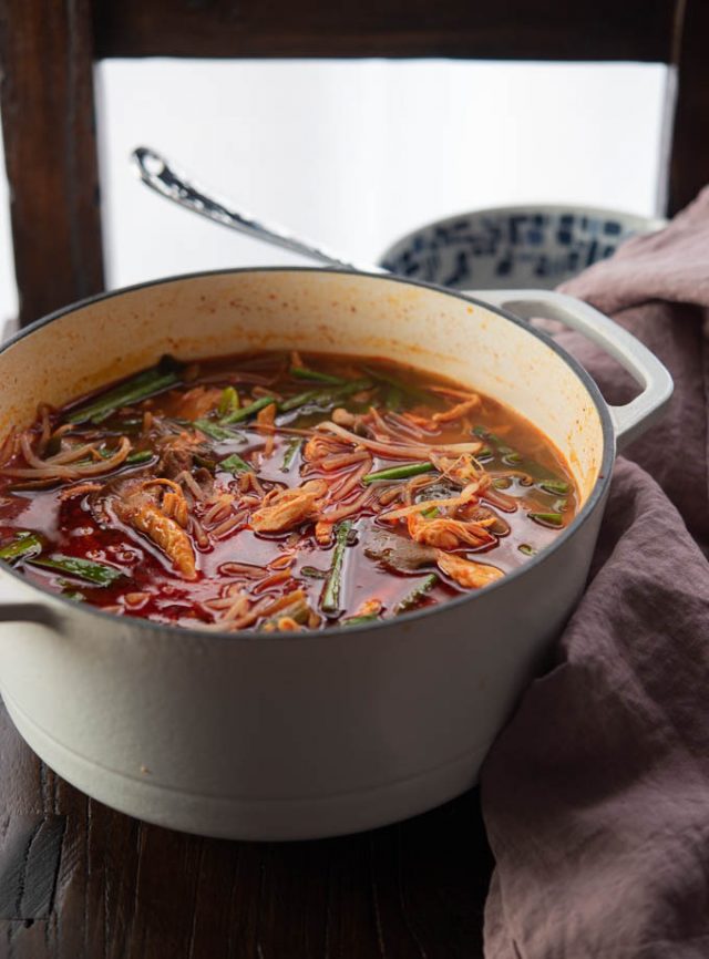 Spicy Korean Chicken Soup (Dakgaejang) Beyond Kimchee