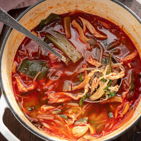 Korean spicy chicken soup (dakgaejang) with vegetables is showing its devilish red look in a white pot.