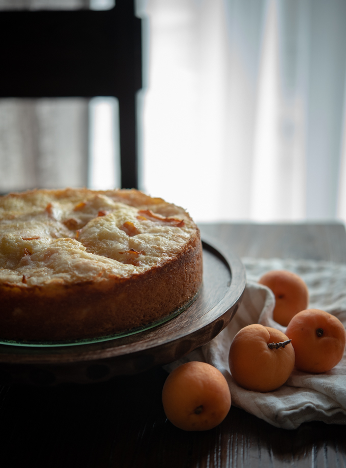 Apricot Kuchen is a German apricot cake made with fresh apricots.