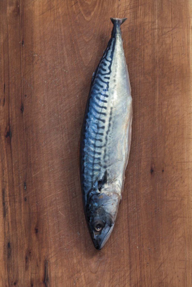 A whole fresh mackerel is shown.