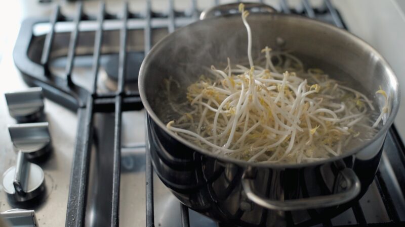 Mung bean sprouts are added to boiling water to blanch.