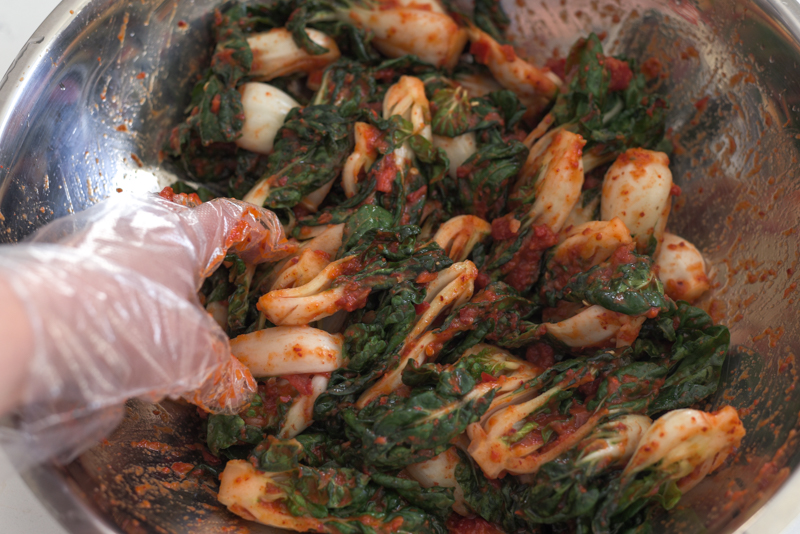 Bok choy kimchi is hand tossed to coat with kimchi filling in a bowl.