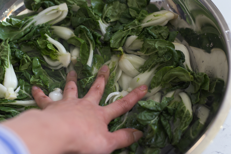 Bok choy is soaked in salt brine in a bowl.