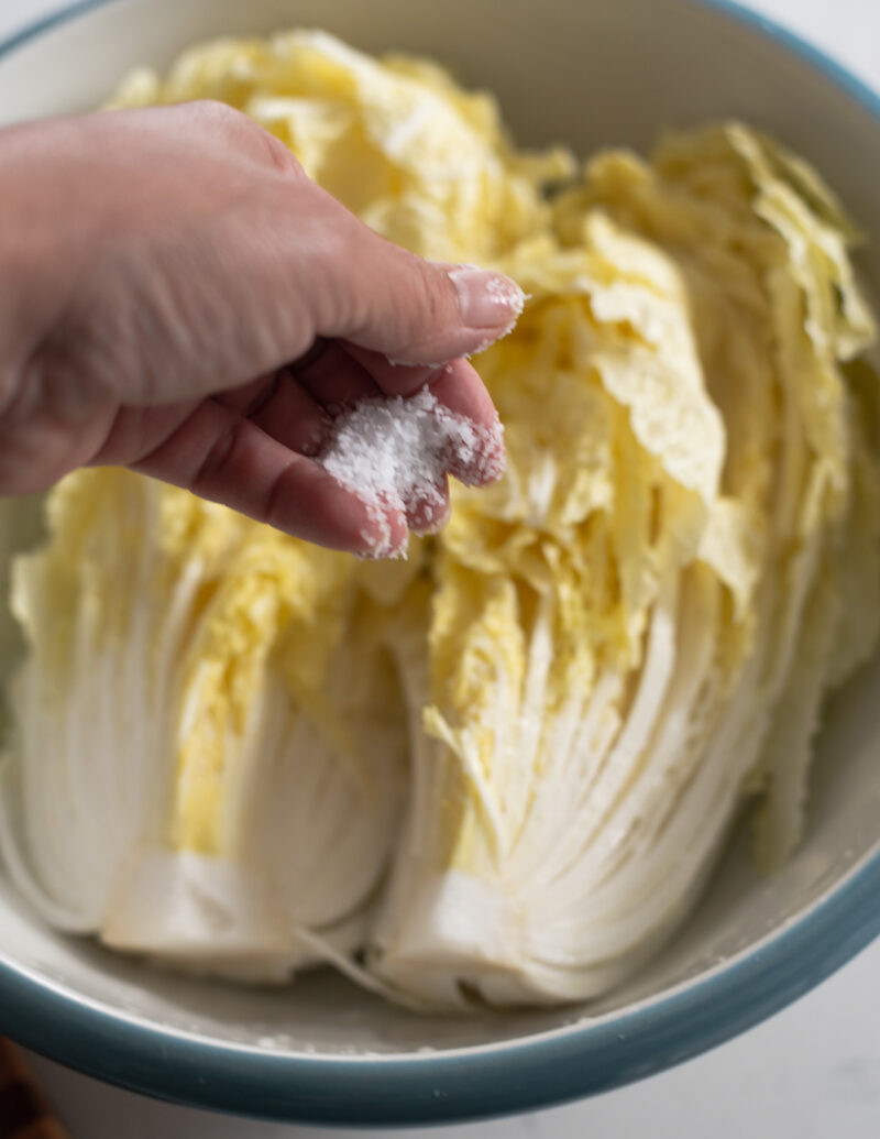 A hand is sprinkling salt over the quartered cabbage in a bowl.