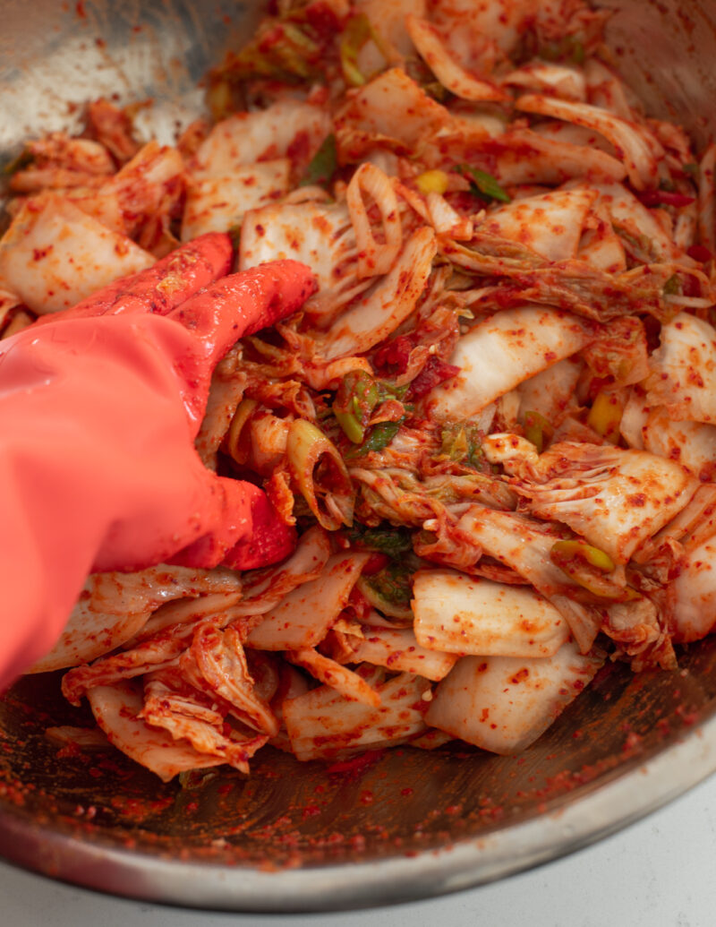 A hand worn with a plastic glove tossing the cabbage with kimchi paste in a mixing bowl.