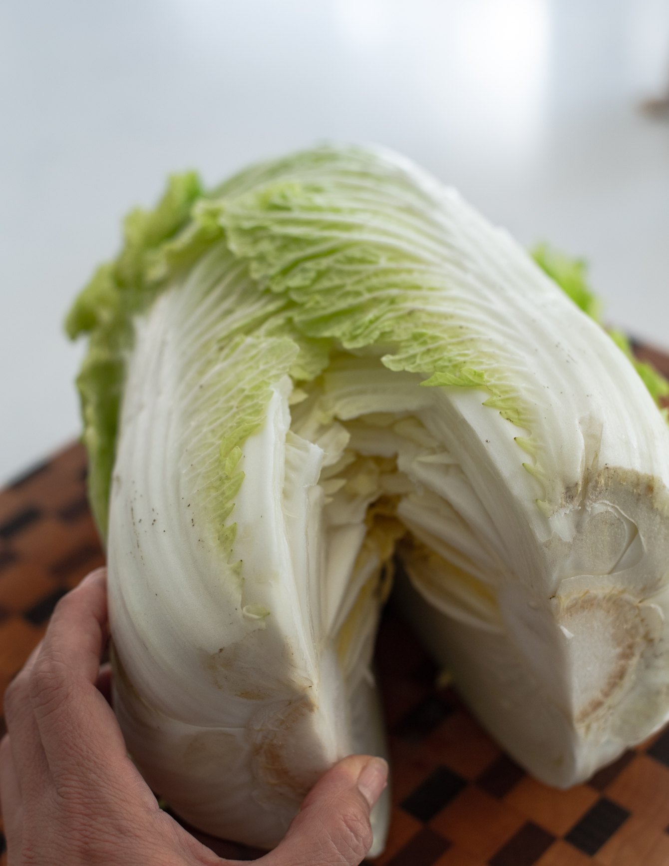 Splitting a head of cabbage in half by hand