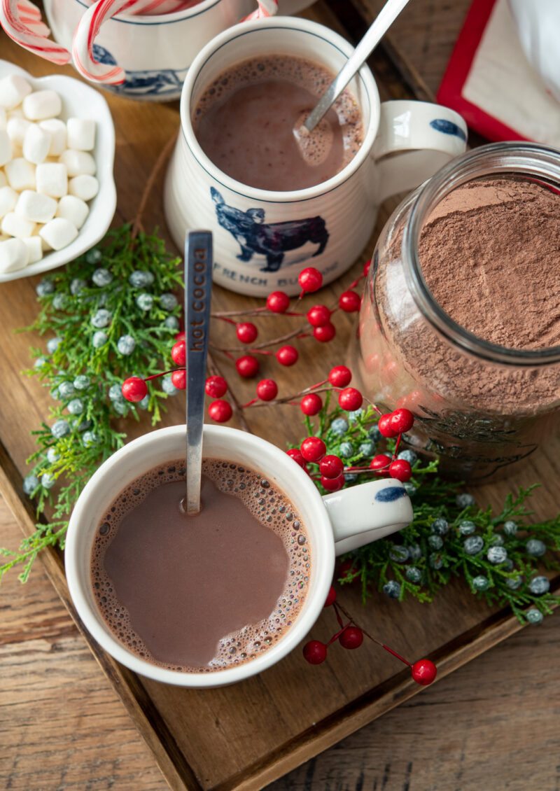 Homemade hot chocolate mix makes a wonderful Holiday or winter gift
