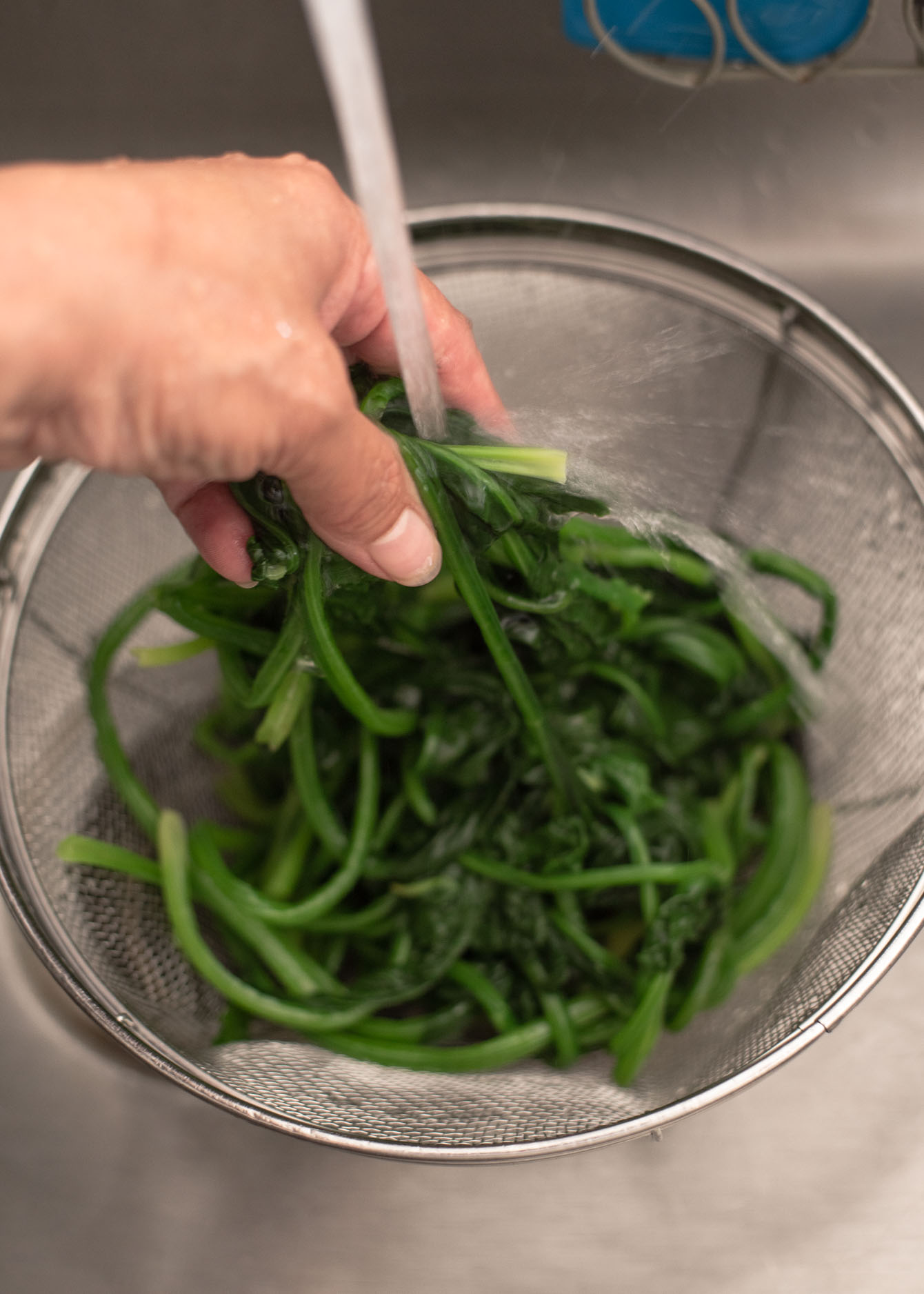 Blanched spinach is rinsing under the cold running water.