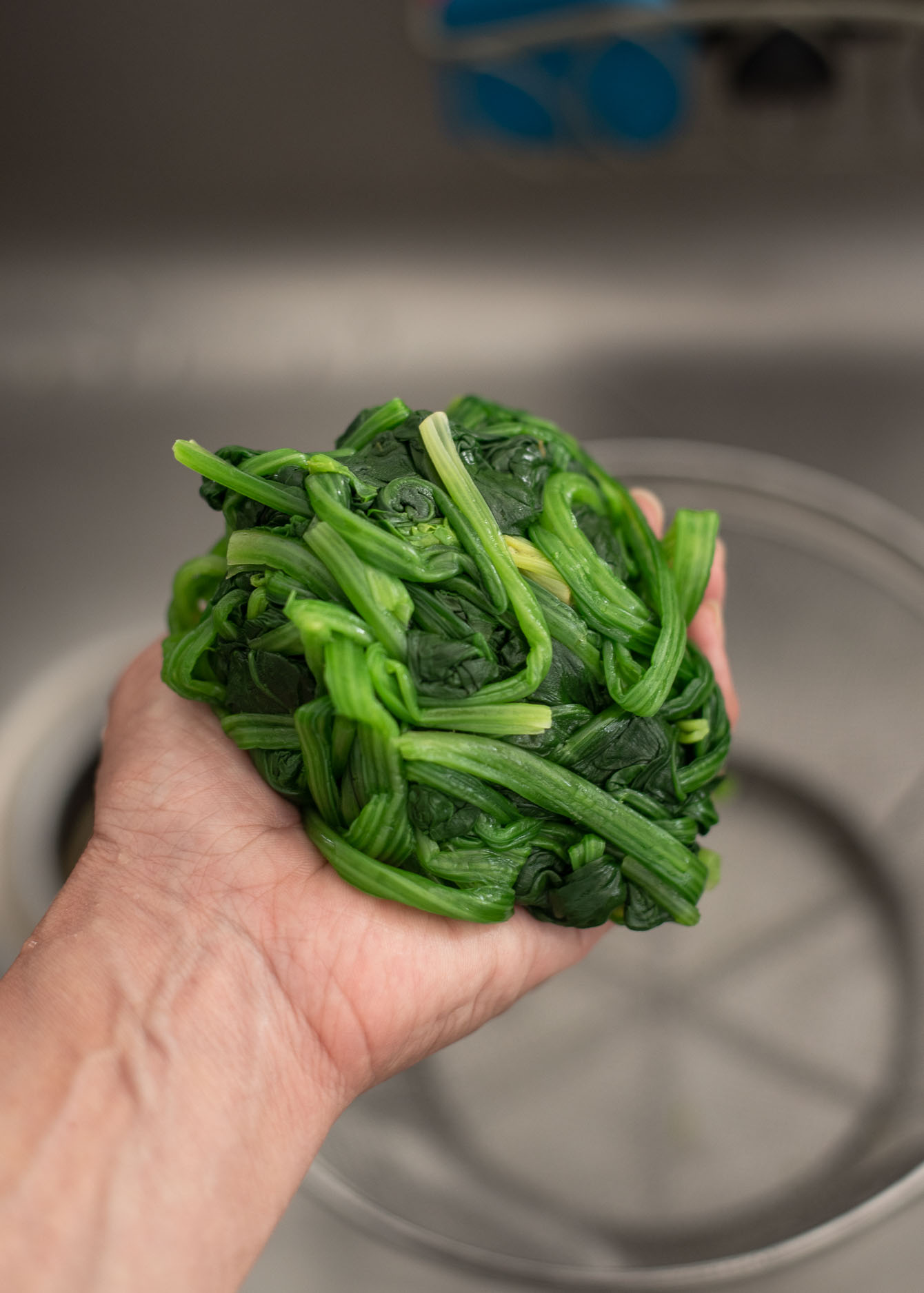 A bunch of blanched spinach being squeezed out to remove excess water.