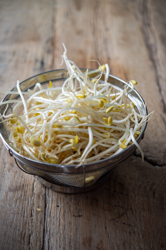 Soybean sprouts are placed in a metal basket.