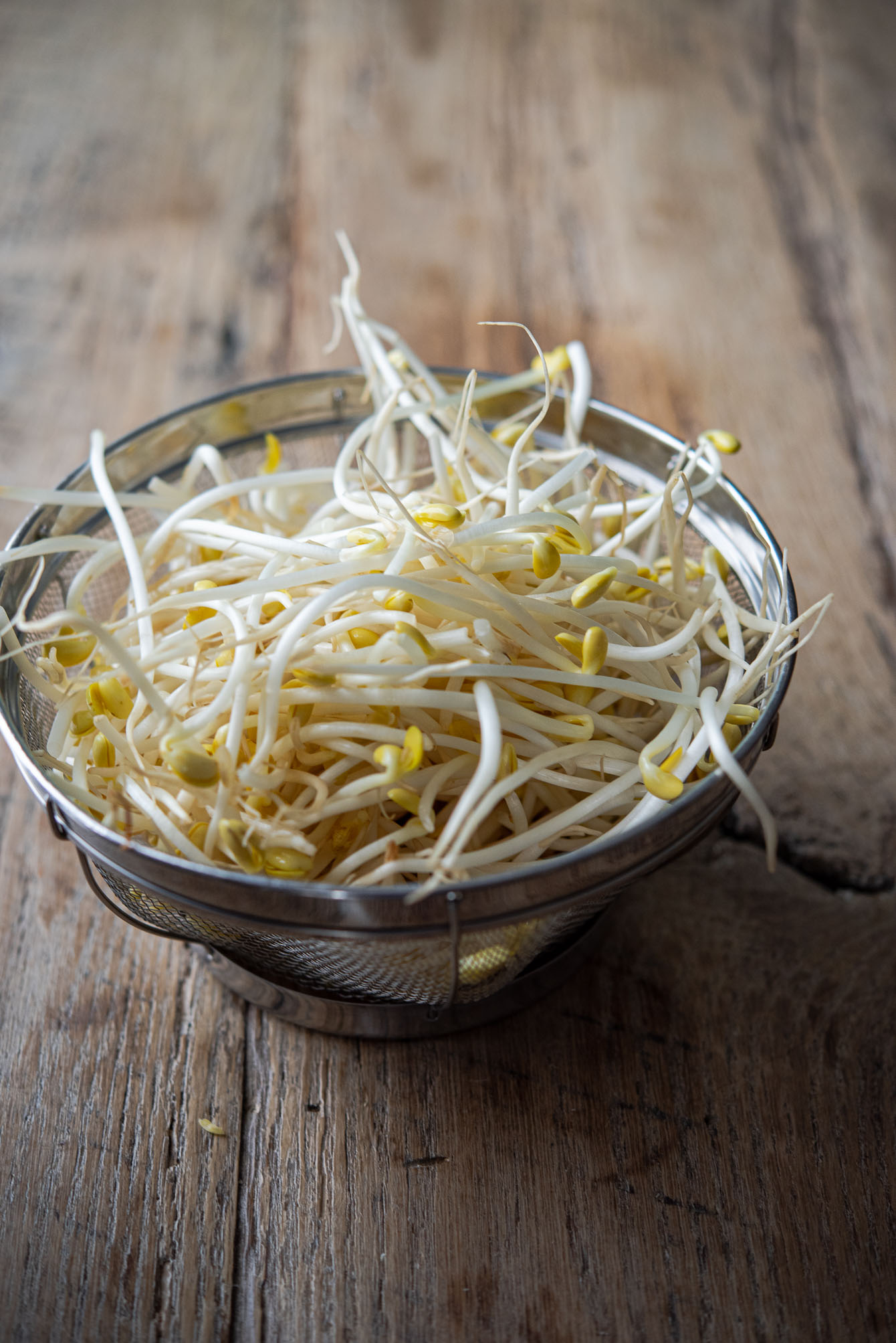 Soybean sprouts in a colander.